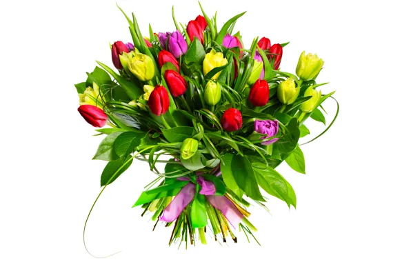 Picture flowers, bouquet, tulips, buds