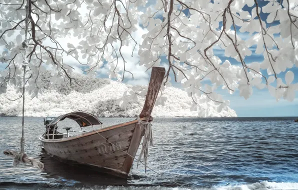 Flowers, romance, boat, privacy, Magnolia