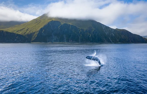 Sea, the sky, water, clouds, landscape, mountains, squirt, blue