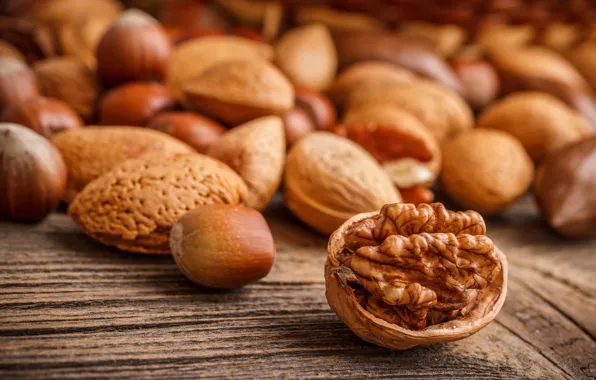 Nuts, shell, almonds, forest, walnut