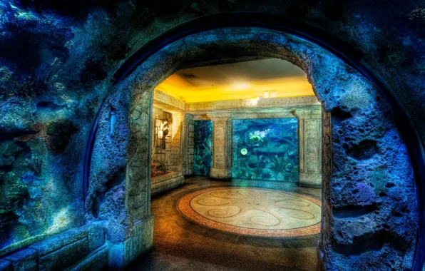 Mosaic, rock, house, octopus, cave, underwater, housing