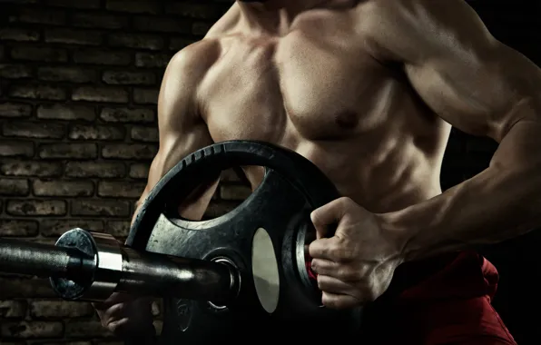 Pose, muscle, muscle, rod, press, biceps, bodybuilder, abs