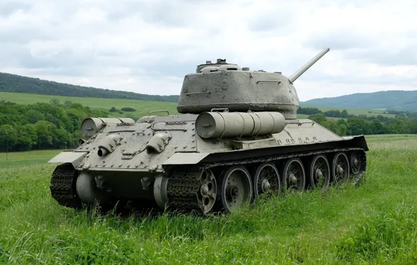 Nature, The red army, medium tank, T-34-85
