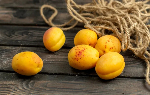 Board, rope, twine, apricots, string
