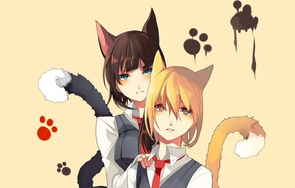 Cat, girl, traces, legs, anime, neko, school uniform, ears