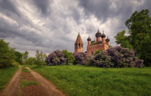 Road, the sky, landscape, clouds, nature, tower, spring, Church