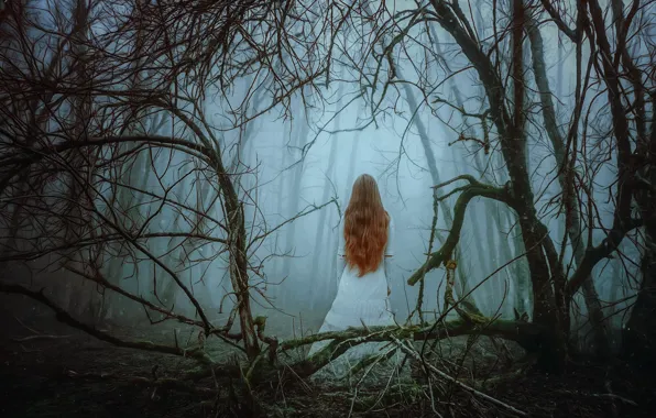 FOREST, DRESS, TREES, BRANCHES, MOOD, FOG, RED, by Peter Brownz Braunschmid