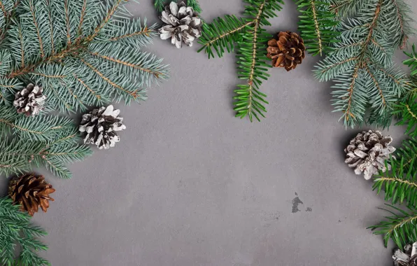 Background, new year, spruce, bumps