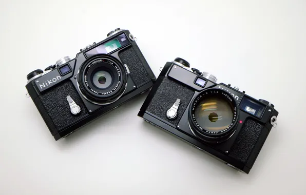 Macro, background, camera