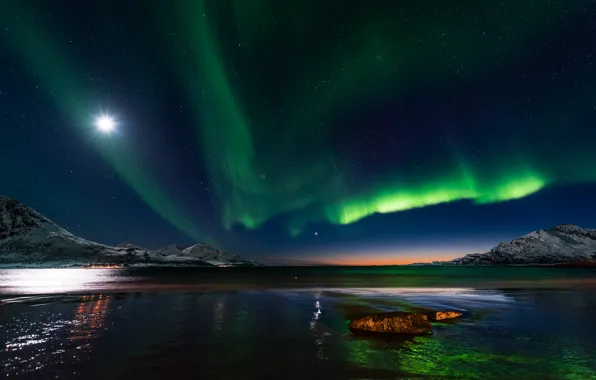 Water, stars, trees, night, Northern lights, Norway