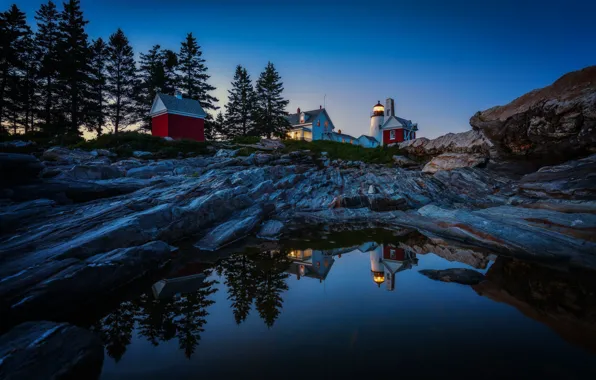Water, trees, reflection, rocks, lighthouse, Maine, Man, Pemaquid Point Lighthouse