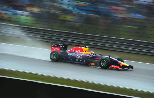 Racer, Formula 1, Red Bull, Vettel, Champion, Sebastian, RB10