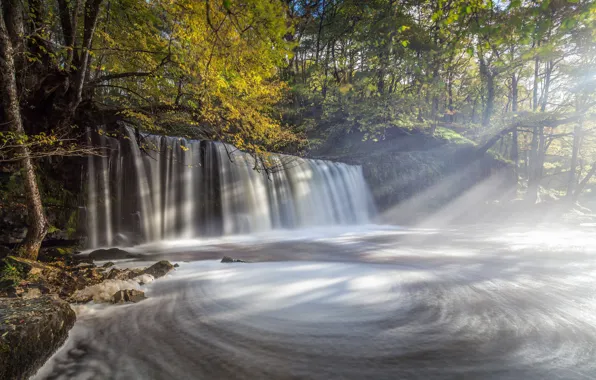 Picture forest, waterfall, Wales