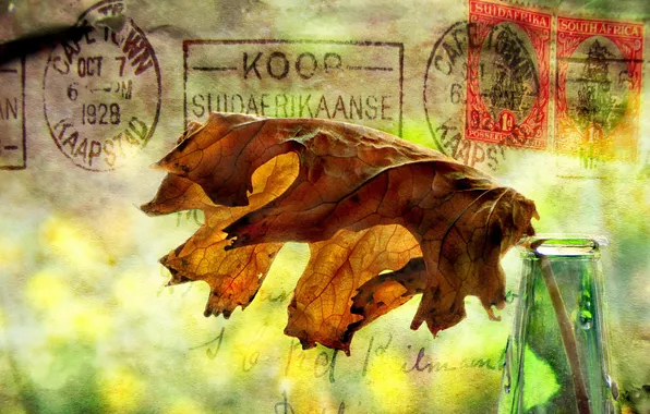 Picture leaves, style, background