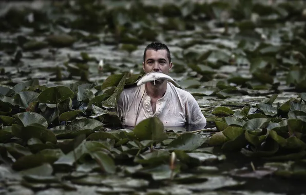 Fishing, the situation, fish, male