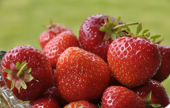 Picture macro, berries, strawberry