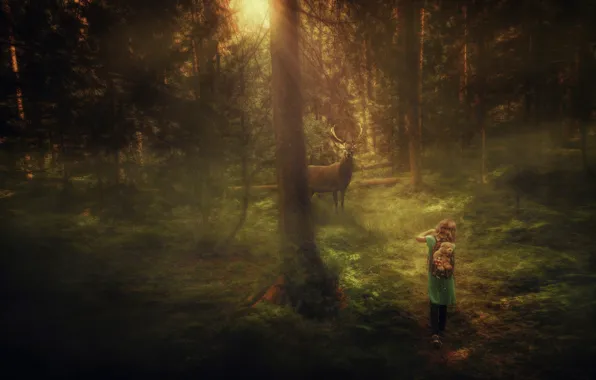 Picture forest, deer, girl