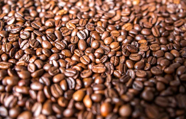 Coffee, grain, a lot