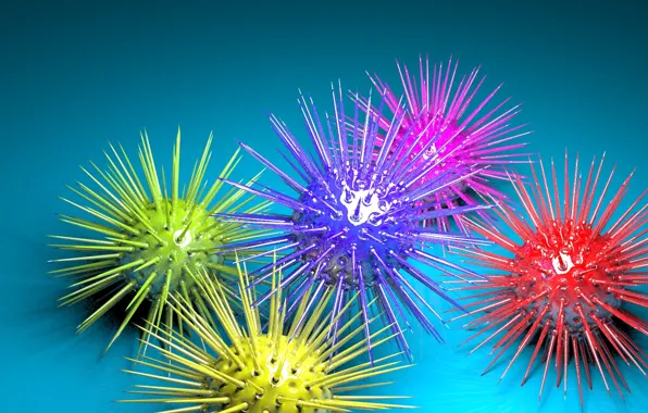 Picture needle, sea urchins, sea urchins