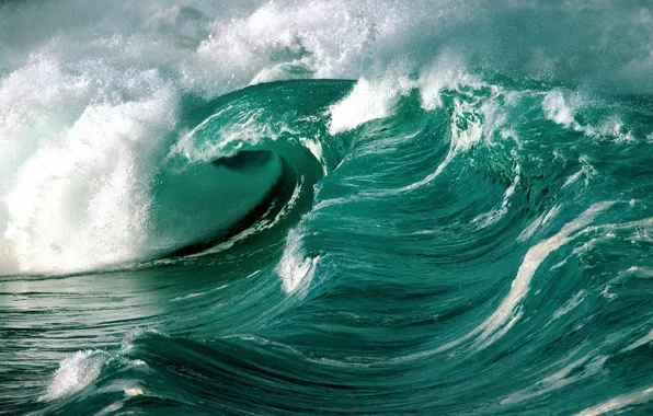 Wave, foam, the ocean