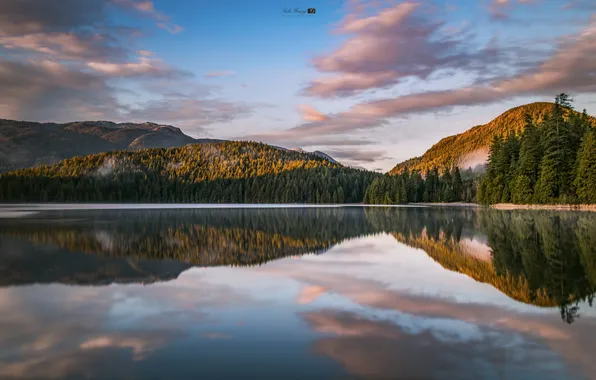 Picture forest, landscape, mountains, nature, lake, reflection