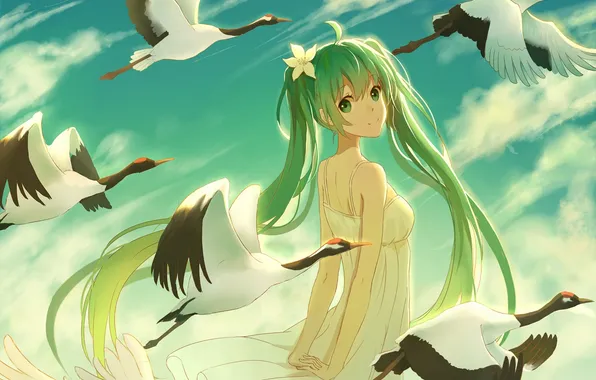 Picture the sky, girl, clouds, birds, anime, art, vocaloid, hatsune miku