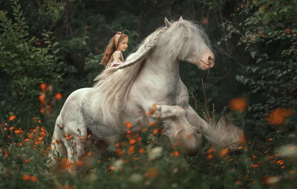 Picture forest, flowers, horse, rider, mane, girl, rider