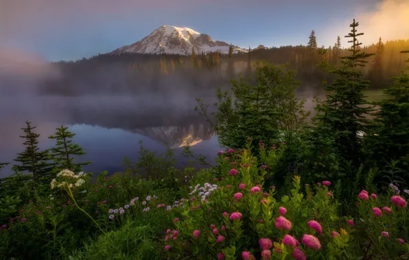 Picture forest, flowers, mountains, fog, lake, Doug Shearer