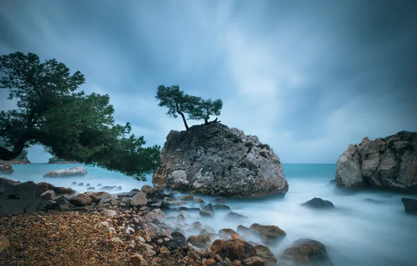 Picture the sky, trees, clouds, stones, rocks, blue, shore, coast