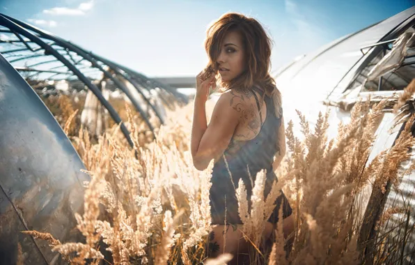 The sky, grass, the sun, sexy, model, makeup, figure, tattoo
