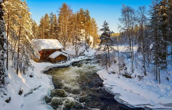 Winter, forest, Finland, In Kuusamo, The friction of the river