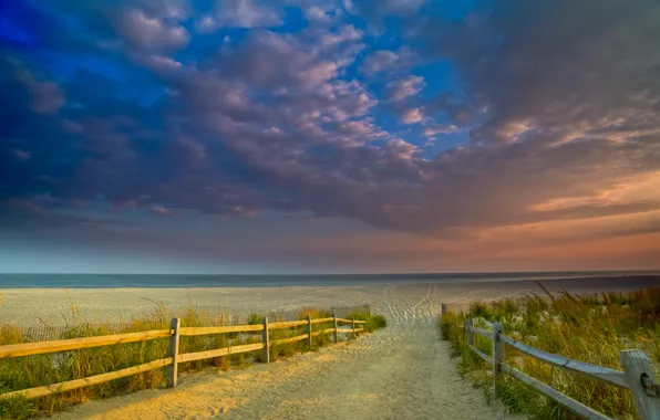 Sand, sea, beach, the sky, grass, the fence