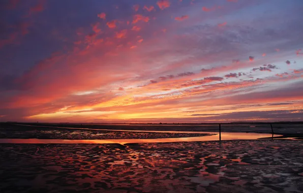 Twilight, sea, dusk, stream