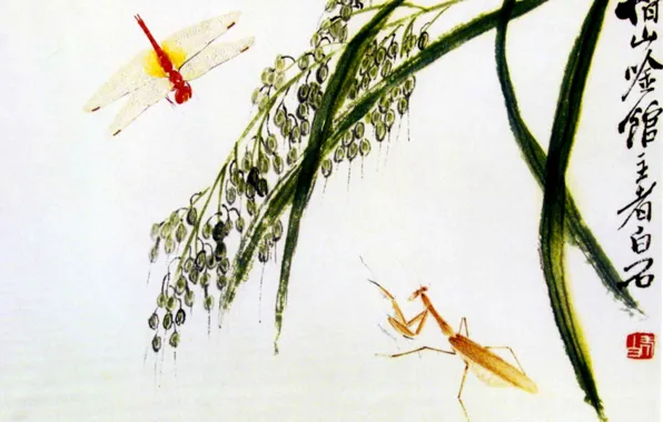 Grass, mantis, dragonfly, white background, Chinese painting, Keep qi-xi