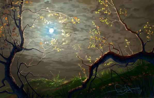 Grass, leaves, trees, branches, branch, art, curves