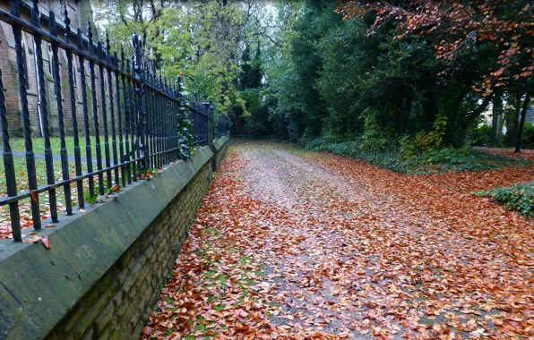 Picture autumn, foliage, track, falling leaves, Autumn, leaves, track, fall