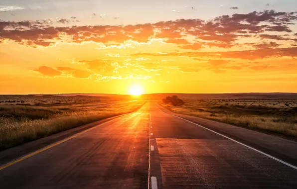 Road, sunset, sun, route
