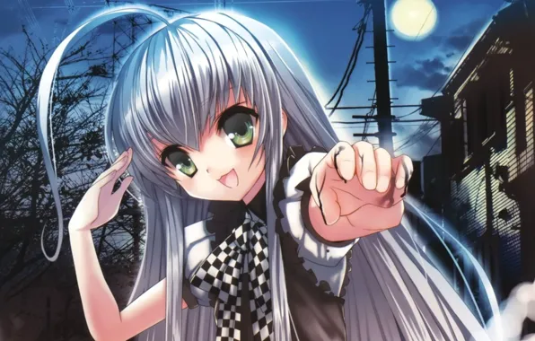 Picture look, art, Organic or! Nyari located in-san, Nyaruko