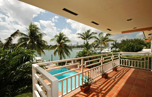 Nature, palm trees, stay, interior, pool, beautiful, resort