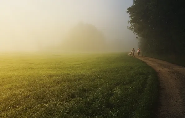 Road, field, forest, dogs, women, fog, people, morning