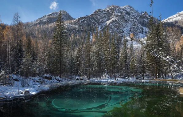 Forest, snow, trees, landscape, mountains, nature, lake, Blue