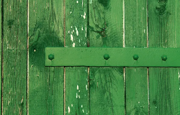Metal, tree, Board, the fence, green fence, the green Board