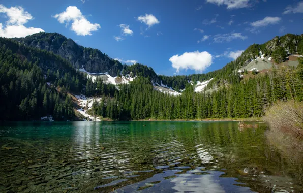 Picture forest, mountains, lake, The cascade mountains, Washington State, Cascade Range, Washington, Lake Annette