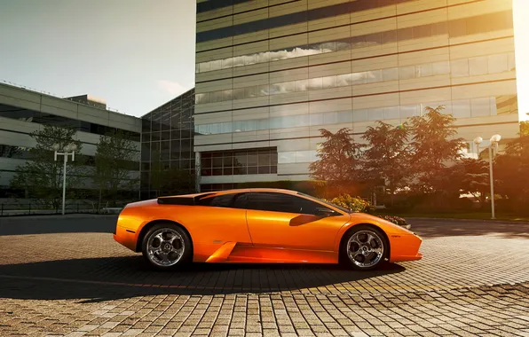 Picture auto, the building, supercar, Lamborghini Murcielago, Lamborghini