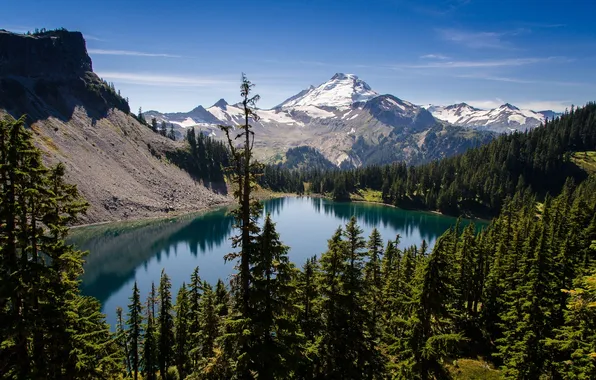 Forest, trees, mountains, nature, lake