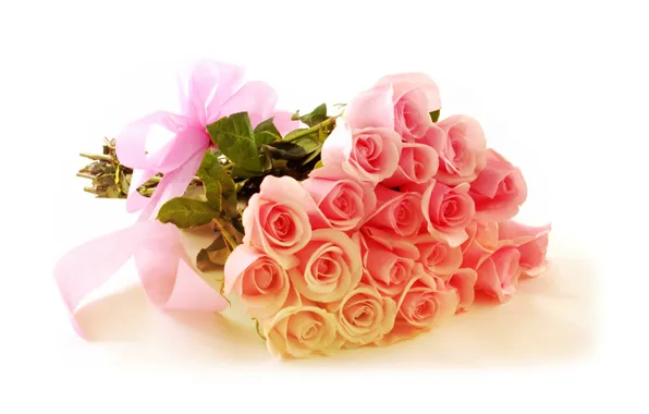 Picture roses, bouquet, gentle