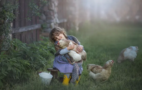 Yard, girl, bucket, chicken