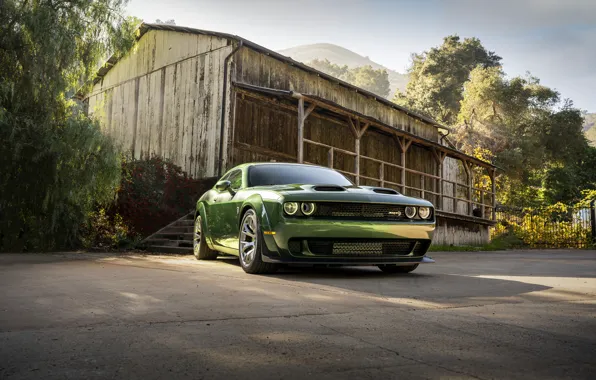 Green, Dodge, Challenger, muscle car, perfomance, Dodge Challenger SRT Hellcat