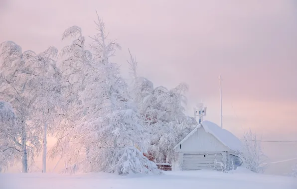 Winter, snow, trees, nature, house, frost, Eduard Gordeev