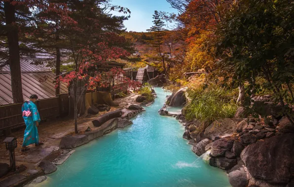 Picture autumn, forest, grass, girl, trees, stream, stones, home
